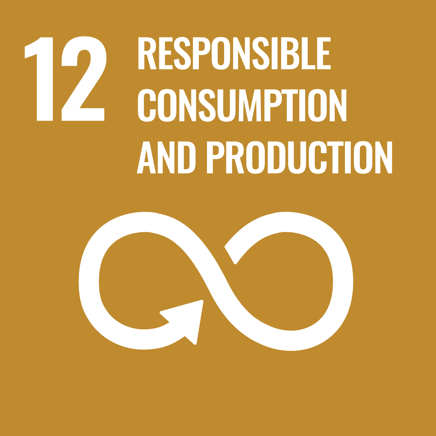 SDG - Responsible Consumption and Production