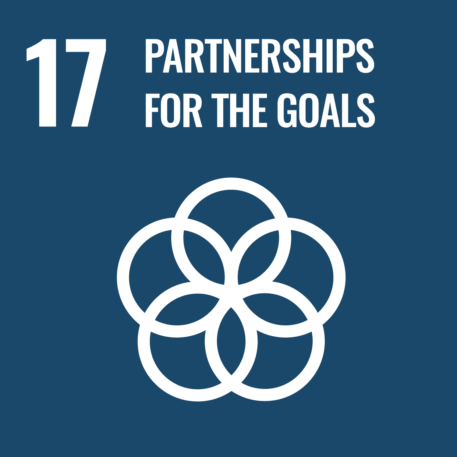 SDG - Partnership for the Goals